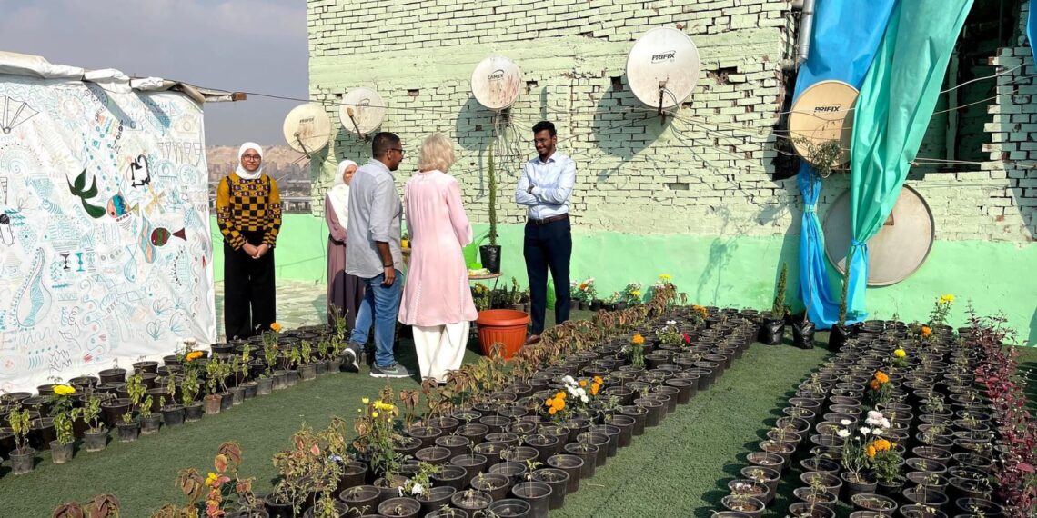 زراعة الأسطح