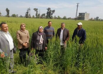 زراعة الشرقية