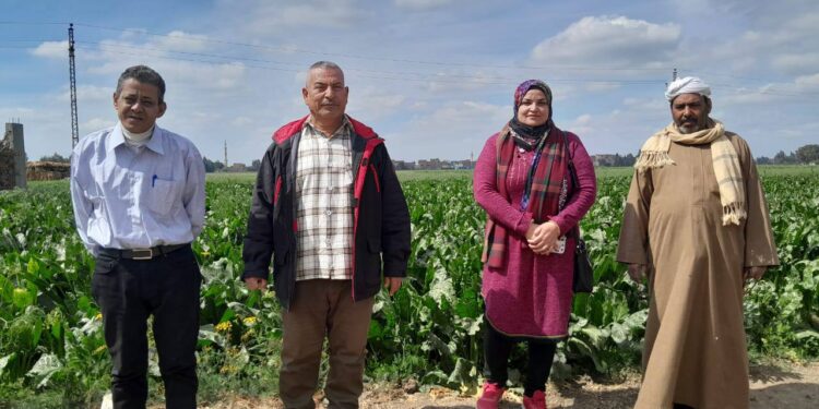 زراعة الشرقية