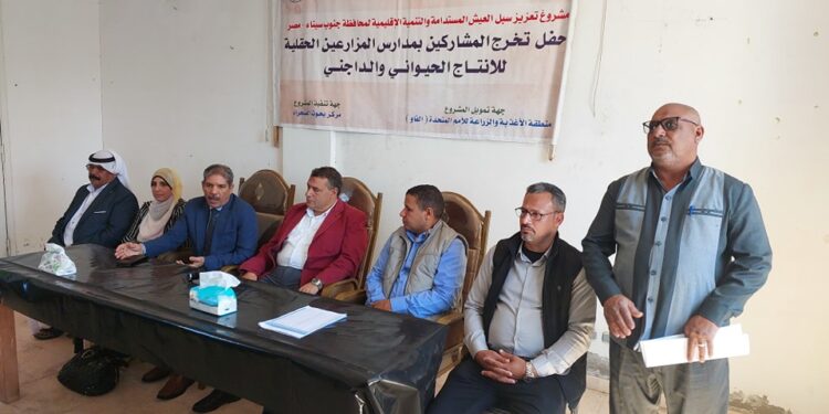 «زراعة جنوب سيناء» تحتفل بتخريج الدفعة الثالثة من المدارس الحقلية وتوزع ٨٠ نعجة على المزارعين 1 زراعة جنوب سيناء