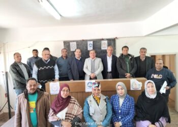 زراعة دمياط