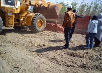 زراعة دمياط