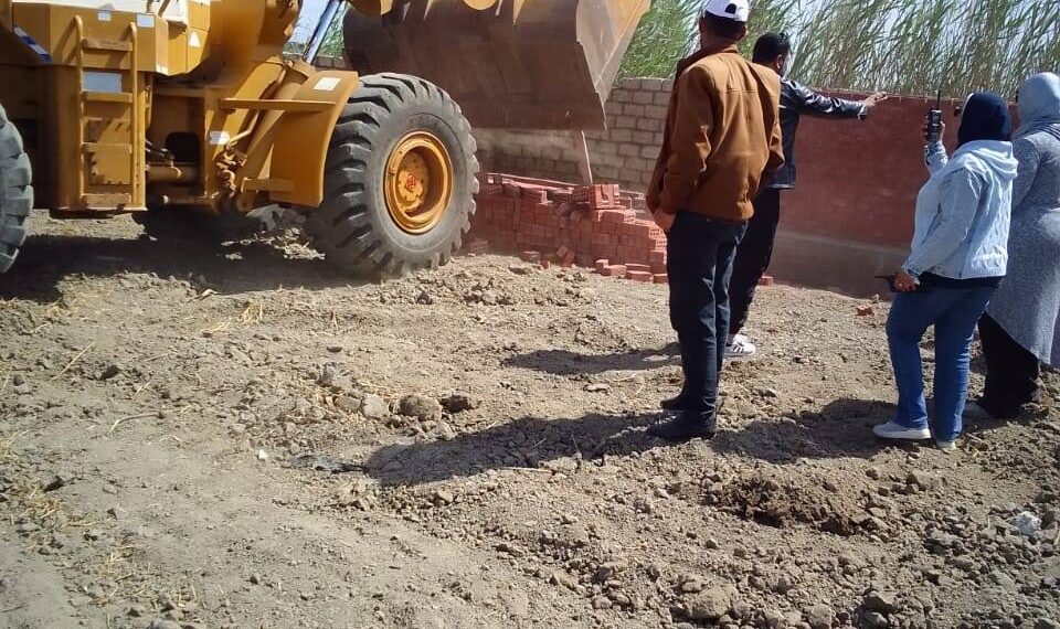 زراعة دمياط