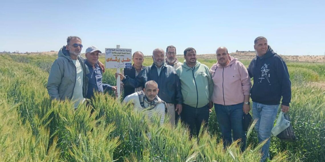 زراعة شمال سيناء