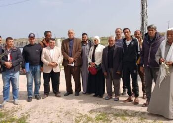 زراعة شمال سيناء