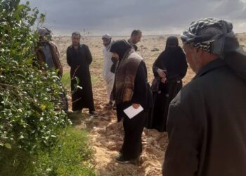 زراعة مطروح