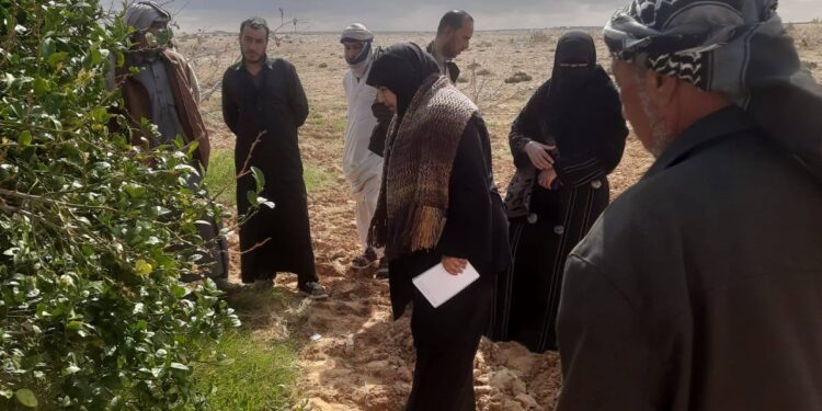 3 فرق إرشادية لمحاصيل الشعير والتين والزيتون والقمح بـ«زراعة مطروح» 1 زراعة مطروح