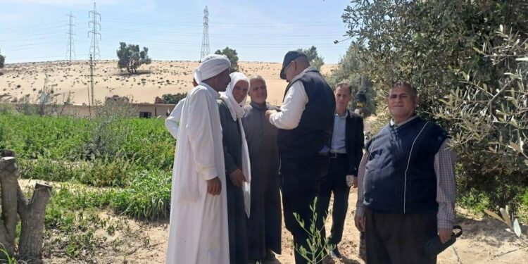 «زراعة شمال سيناء»: فريق إرشادي لشرح أهم المعاملات الزراعية لمحاصيل «الزيتون و التين و الرمان و الشعير» 1 زراعة شمال سيناء