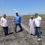 «زراعة الإسماعيلية» تفحص حقول القطن و القمح..وفريق إرشادي للنباتات الطبية والتنمية الريفية 12 زراعة الإسماعيلية