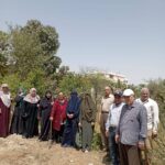«زراعة الإسماعيلية» تفحص حقول القطن و القمح..وفريق إرشادي للنباتات الطبية والتنمية الريفية 13 زراعة الإسماعيلية