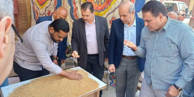 افتتاح موسم توريد القمح المحلي لعام 2025 بمحافظة الفيوم 1 القمح