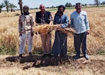 زراعة أسيوط