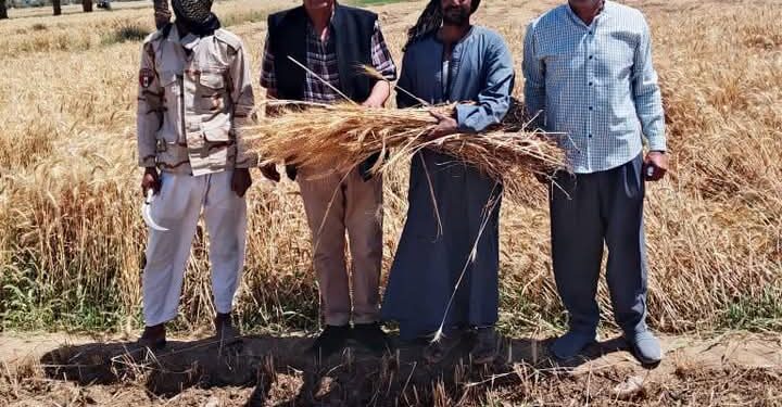 زراعة أسيوط