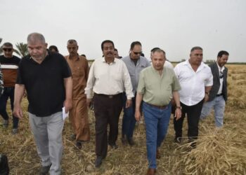 زراعة بورسعيد