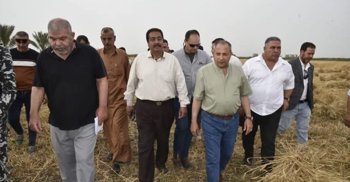 «زراعة بورسعيد » تفتتح موسم حصاد محصول القمح 1 زراعة بورسعيد