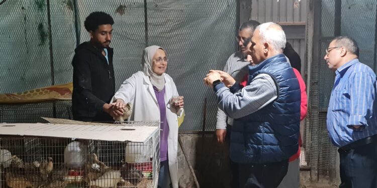 وكيل البحوث الزراعية للإنتاج يتفقد المحطات البحثية بالإسكندرية لمتابعة وتقييم الآداء 1 وكيل البحوث الزراعية للإنتاج يتفقد المحطات البحثية بالإسكندرية لمتابعة وتقييم الآداء