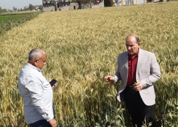 الإصلاح الزراعي