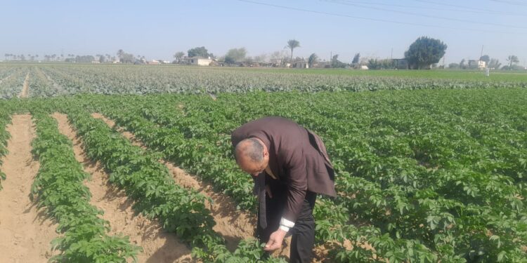 زراعة البحيرة