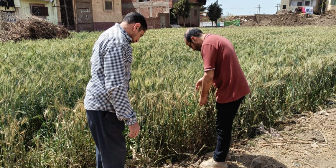 المركزية للإرشاد الزراعي