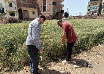 المركزية للإرشاد الزراعي