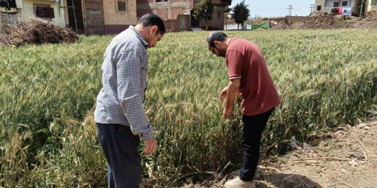 الإدارة المركزية للإرشاد الزراعي تنفذ مجموعة من الأنشطة الزراعية خلال شهر مارس 2025 1 المركزية للإرشاد الزراعي