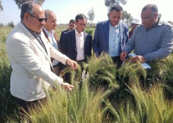 البحوث الزراعية