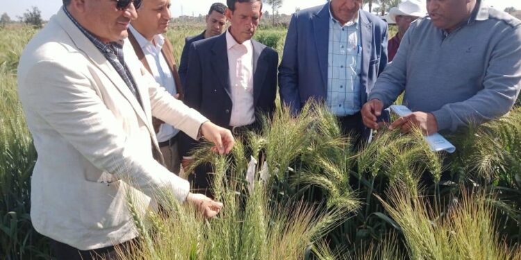 البحوث الزراعية