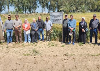 البحوث الزراعية