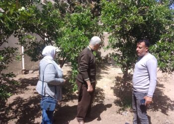 الإصلاح الزراعي