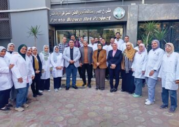 مشروع مكافحة العفن البني في البطاطس