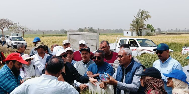 البحوث الزراعية