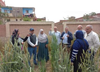 أمراض النباتات