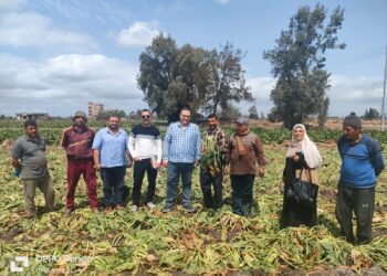 البحوث الزراعية