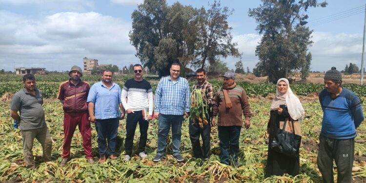 حصاد وأنشطة مركز البحوث الزراعية في الفترة من 5 إلى 11 أبريل 2025 1 البحوث الزراعية