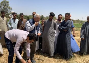 البحوث الزراعية