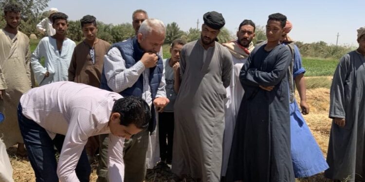 «البحوث الزراعية»: بدء تدشين محطة بحثية في الفرافرة بالوادي الجديد 1 البحوث الزراعية
