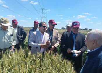 البحوث الزراعية