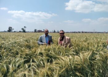 البحوث الزراعية