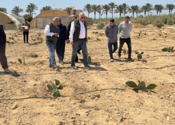 بحوث الصحراء