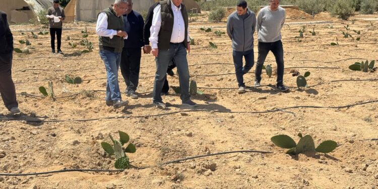 بحوث الصحراء