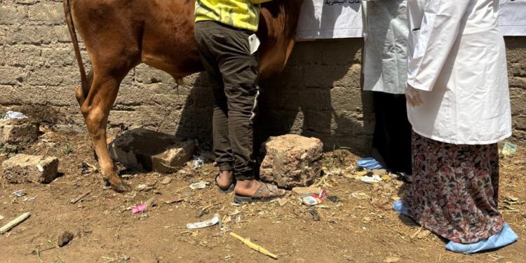 الصحة الحيوانية