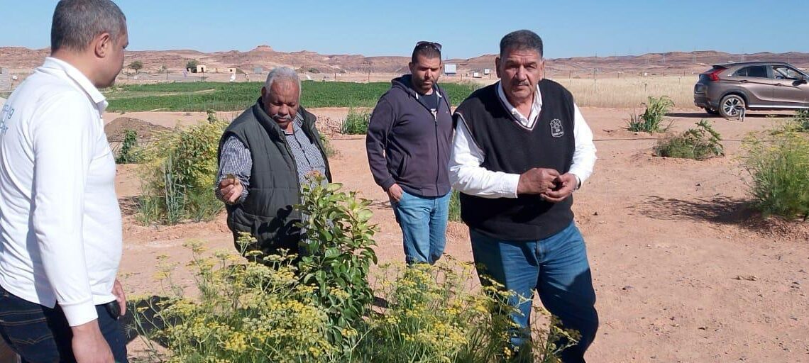 اسأل واستشير