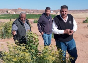 اسأل واستشير