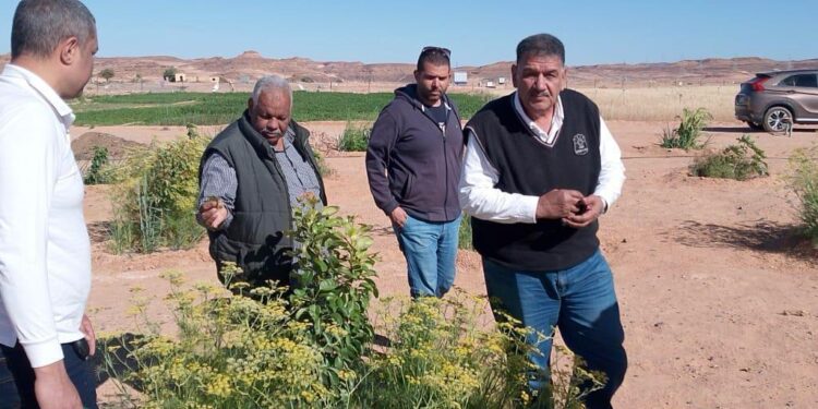 مبادرة بحوث الصحراء "اسأل واستشير” تواصل دعمها لمزارعي سيناء 1 اسأل واستشير