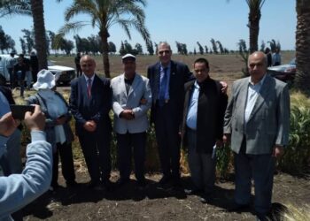 البحوث الزراعية