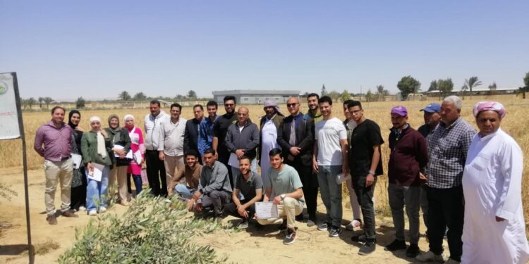 «بحوث الصحراء» ينظم ورشة عمل الإدارة المتكاملة للأسمدة الذكية 1 بحوث الصحراء