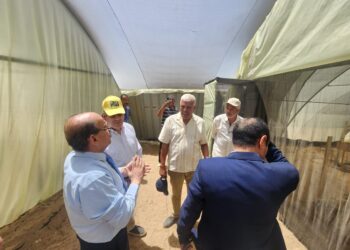 البحوث الزراعية: شراكات استراتيجية مع القطاع الخاص لتعزيز الأمن الغذائي وتحقيق الاكتفاء الذاتي