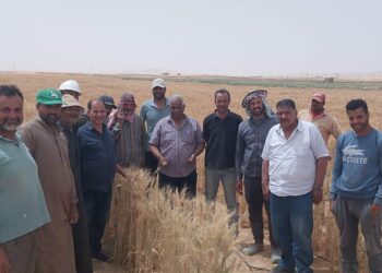بحوث الصحراء يواصل دعم المزارعين ميدانياً رغم التحديات المناخية
