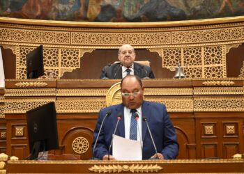 الصياد: الصادرات الزراعية المصرية تحتل مكانة مرموقة في الأسواق العالمية