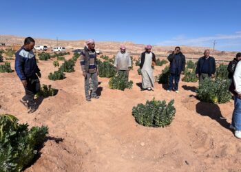 بحوث الصحراء